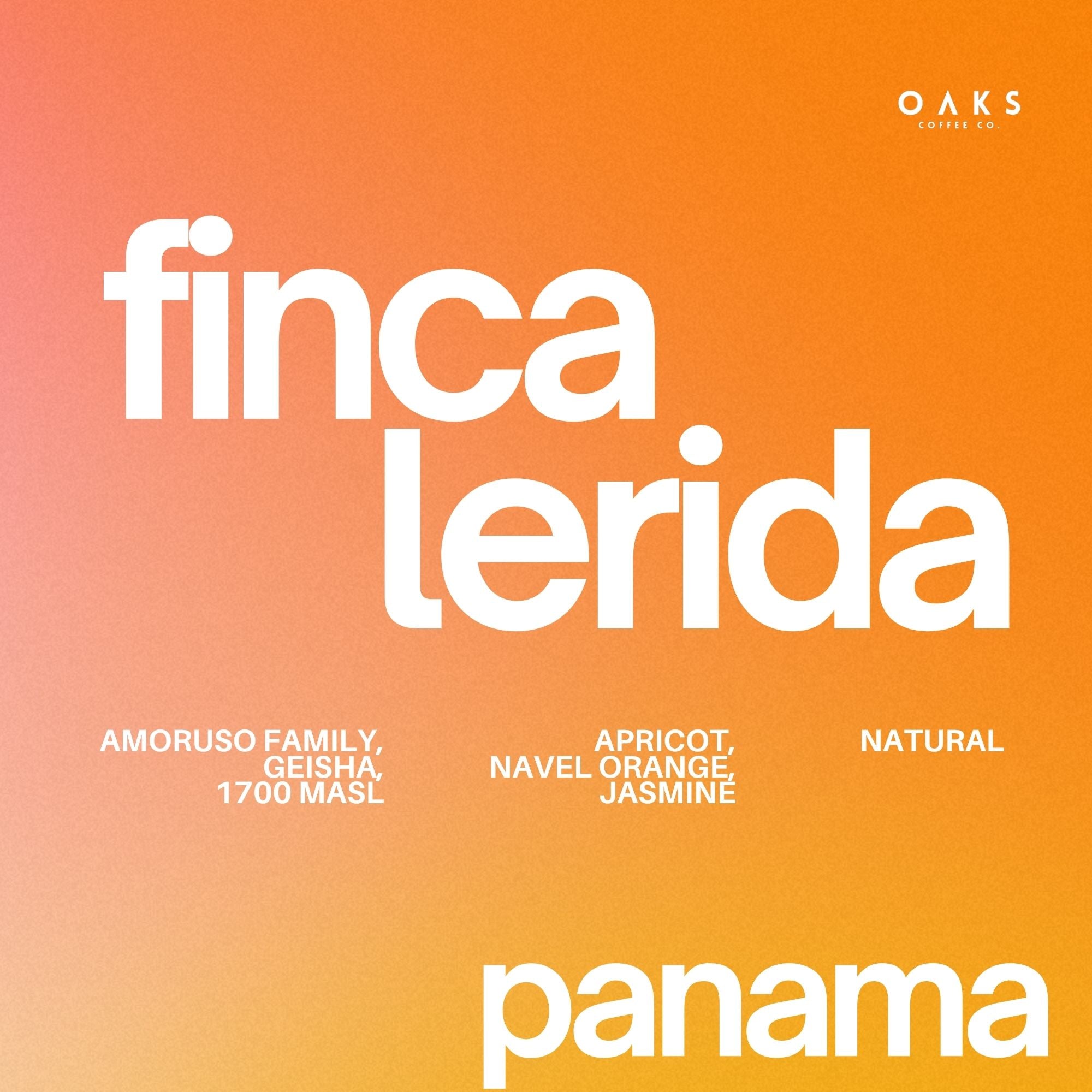 Finca Lerida, Panama | 100gm