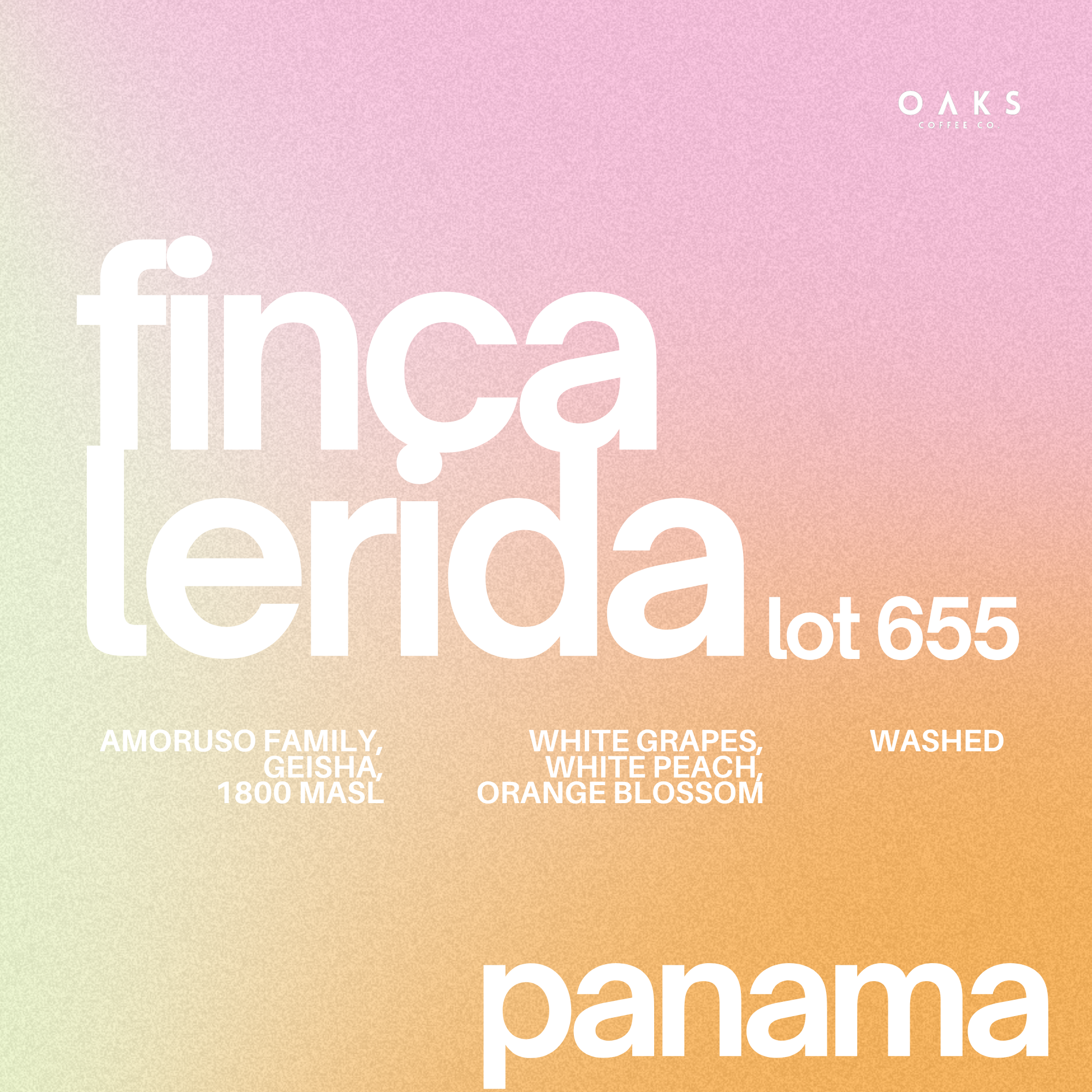 Finca Lerida Lot 655, Panama | 100gm