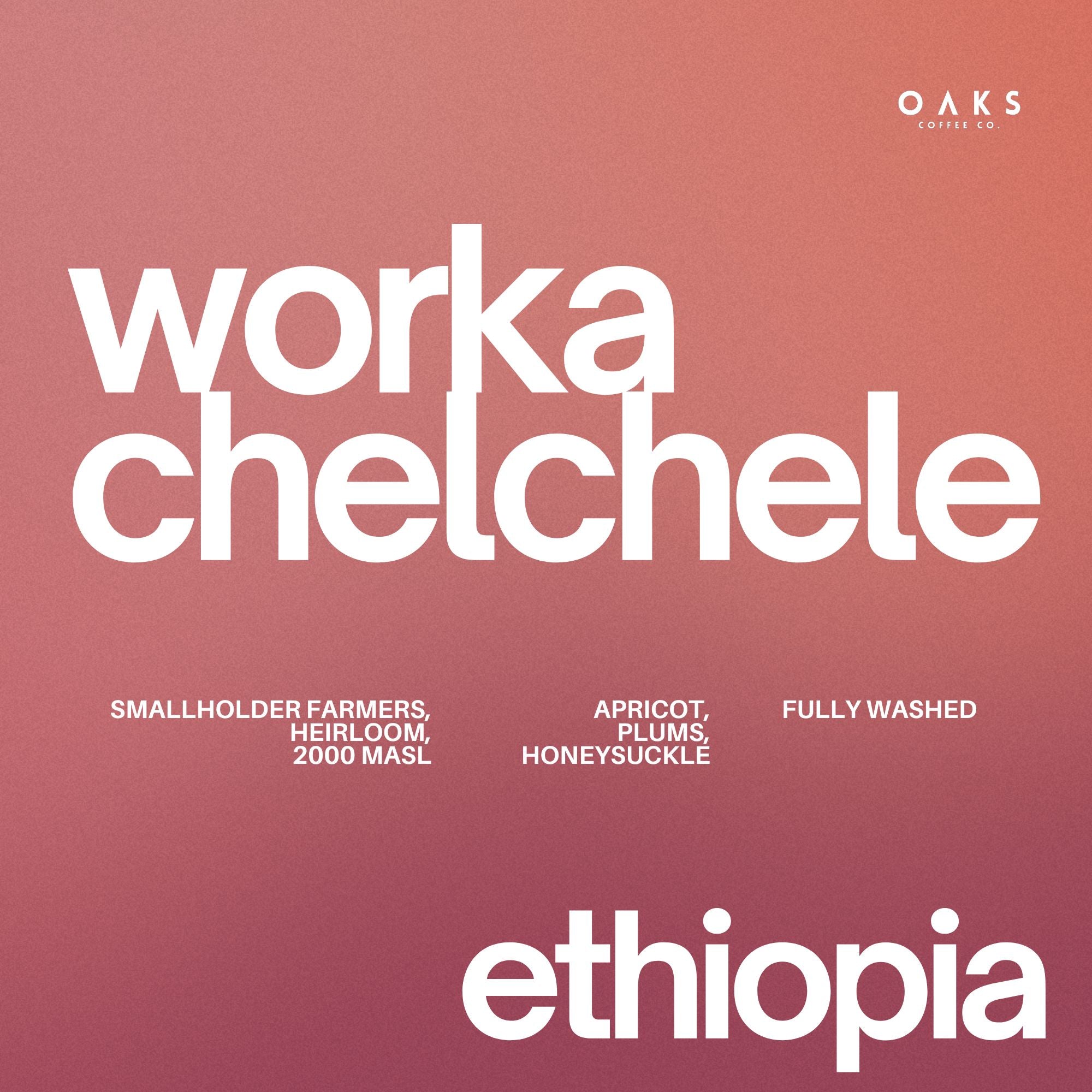 Worka Chelchele, Ethiopia | 150gm