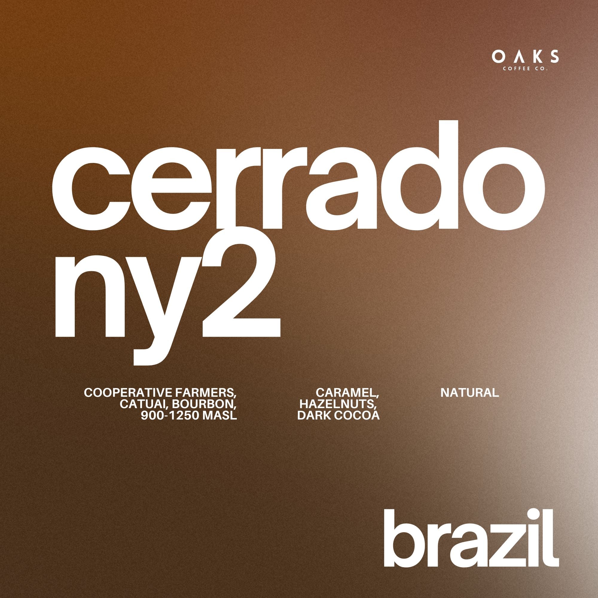 Cerrado NY2, Brazil | 200gm