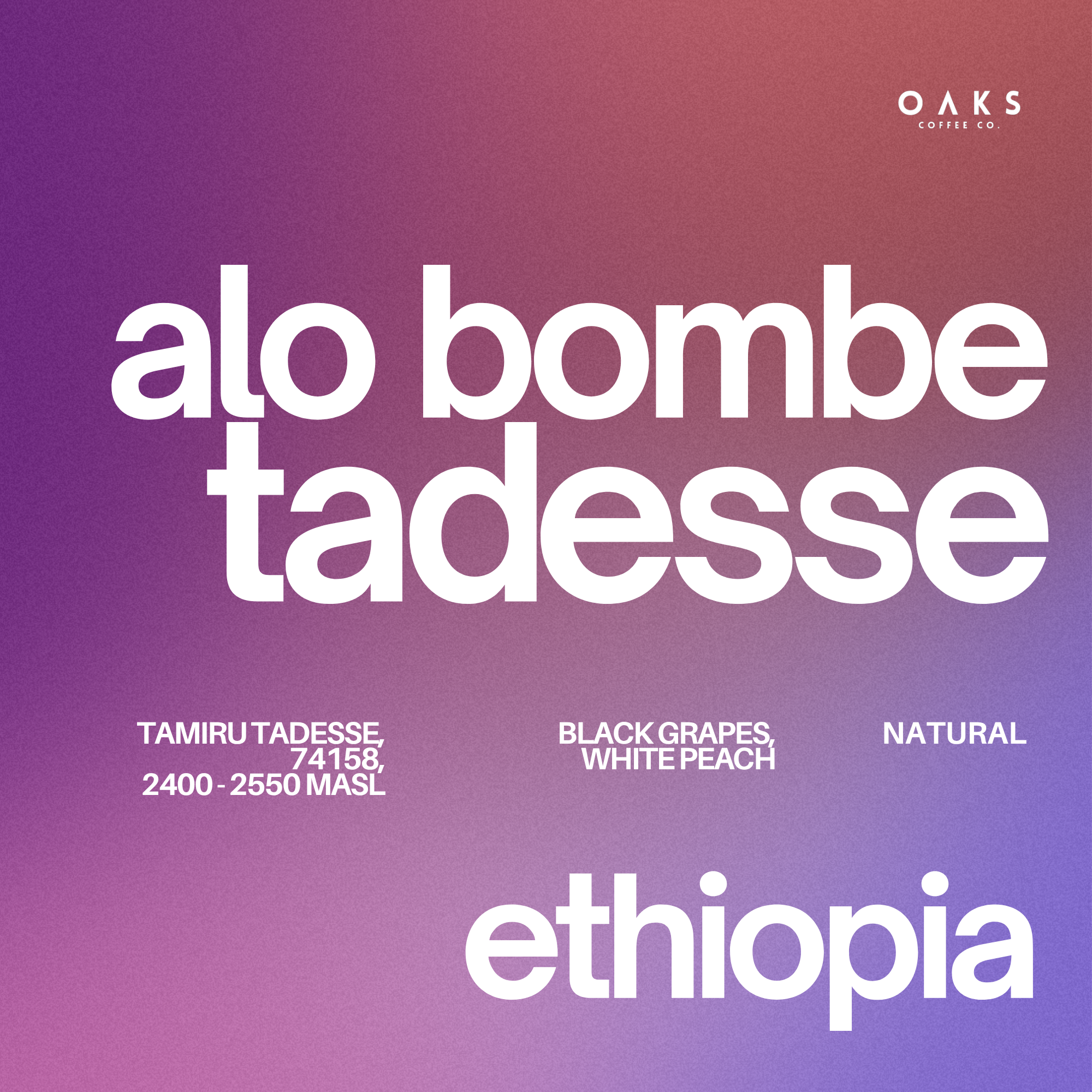 Alo Bombe Tadesse, Ethiopia | 150gm