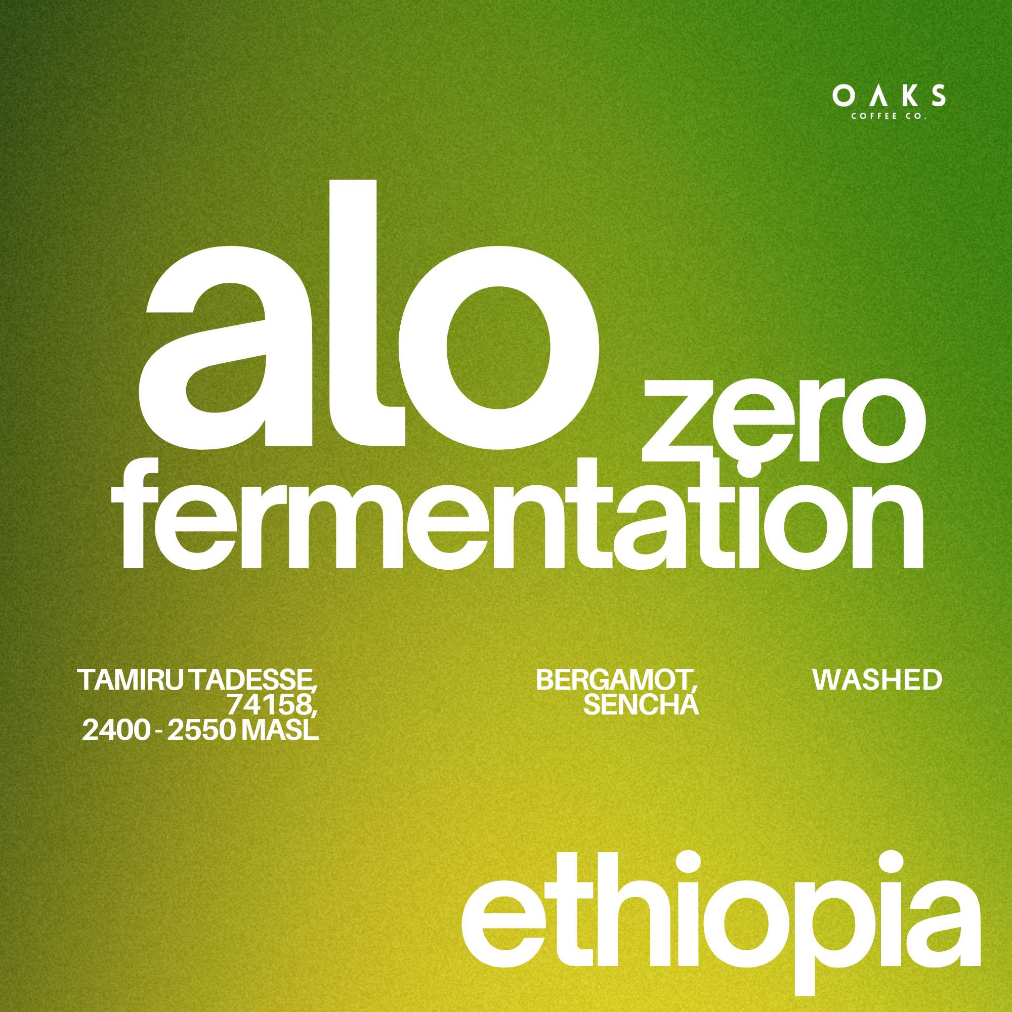 Alo Zero Fermentation, Ethiopia | 150gm