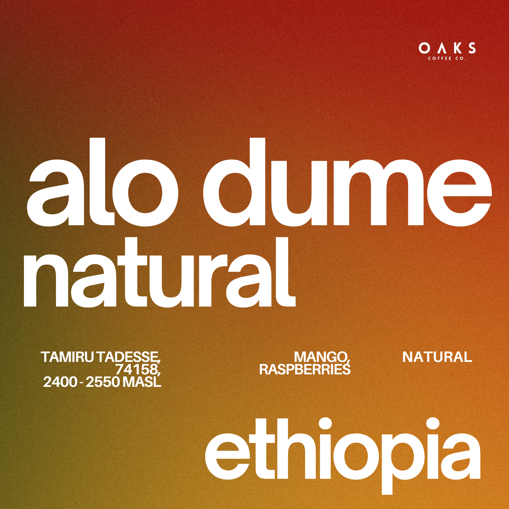 Alo Dume, Ethiopia | 150gm