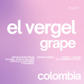 El Vergel Grape, Colombia | 150gm
