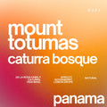Mount Totumas, Panama | 150gm