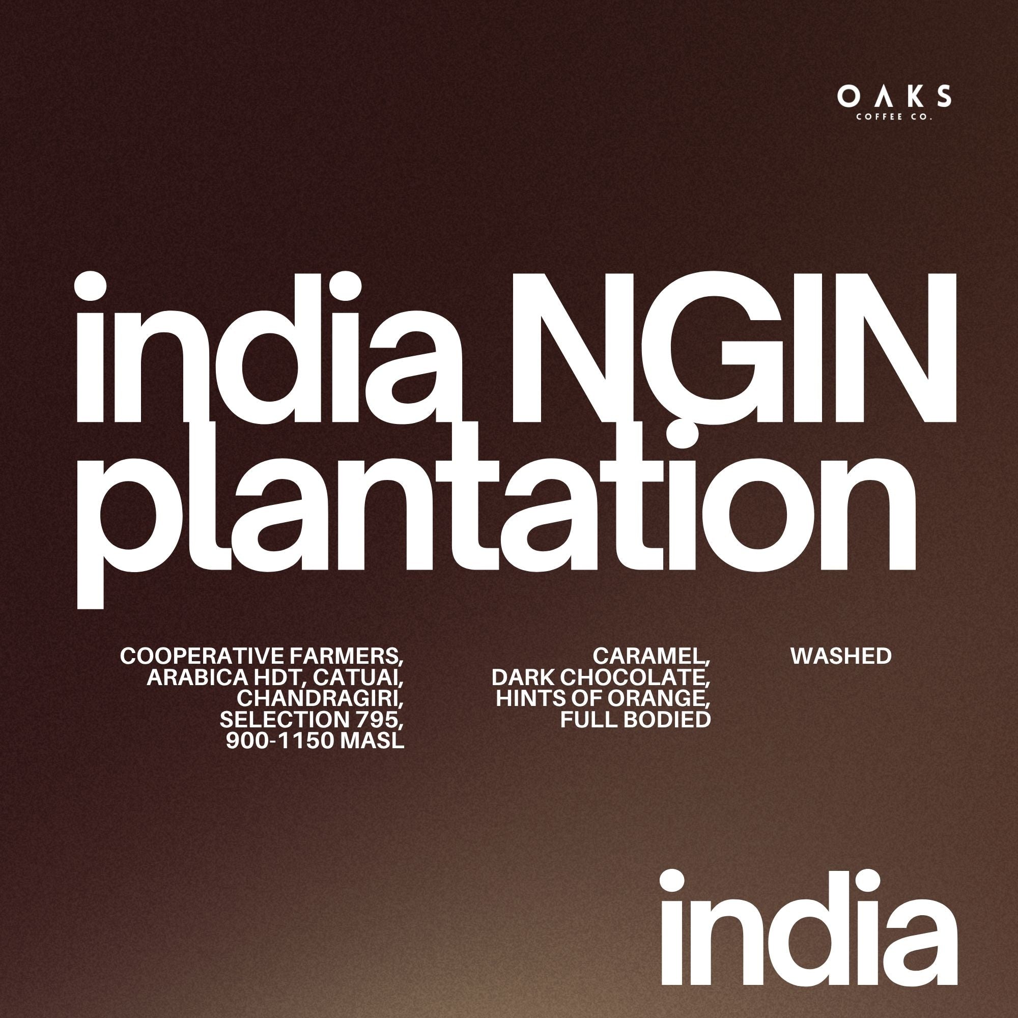 NGIN Plantation, India | 200gm