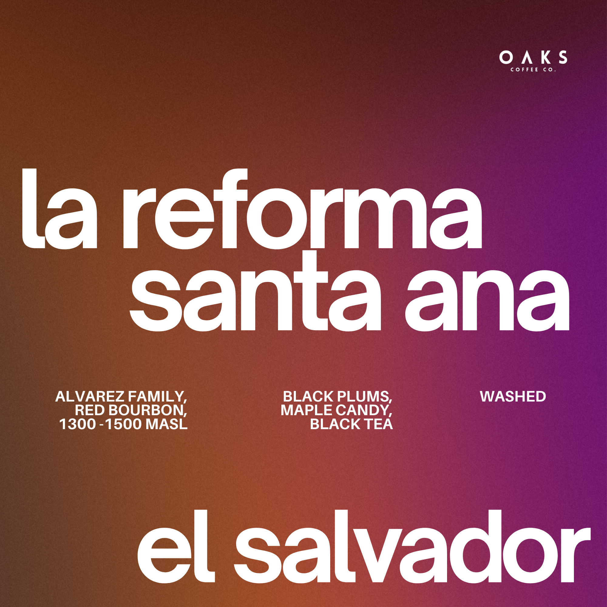 La Reforma Santa Ana, El Salvador | 150gm